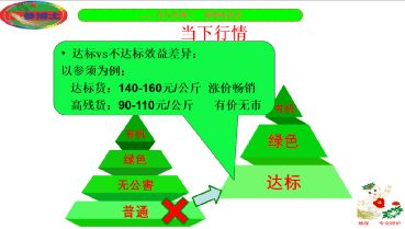 撫松縣人參產(chǎn)業(yè)重大技術(shù)協(xié)同推廣項(xiàng)目培訓(xùn)會(huì)正式開(kāi)講